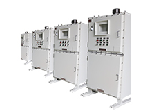 �������ƹ��ճ��z��ע�����(xi��ng)